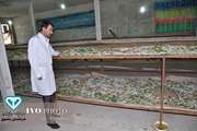 نوغانداران به پیشگیری از شیوع بیماری های کرم ابریشم و رعایت اصول بهداشت توجه نمایند