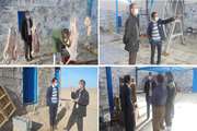 بازدید رئیس شبکه دامپزشکی از کشتارگاه دام جدید گناباد 