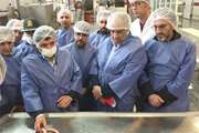 بازدید فرماندار، دادستان و تنی چند از مسئولین بینالود از مراکز بسته بندی گوشت و ...  