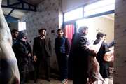 بازدید مدیر شبکه دامپزشکی از کشتارگاه دام باخرز