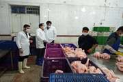 تشدید اقدامات بهداشتی قرنطینه ای در کشتارگاه طیور شهرستان تربت حیدریه