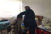 تزریق  واکسن آنفلوآنزا به افراد شاغل در  دامپزشکی شهرستان زاوه