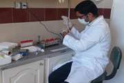 انجام آزمایشات رزبنگال در آزمایشگاه شبکه دامپزشکی رشتخوار 
