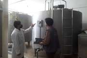 نظارت شبکه دامپزشکی خلیل آباد بر جمع آوری، عرضه و ارسال 460 تن شیر خام در سال جاری