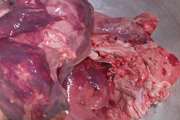 محکومیت شصت میلیون ریالی جزای نقدی بدل از سه ماه حبس تعزیری برای شهروند سبزواری