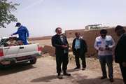 سم پاشی و توزیع سم رایگان برای پیشگیری از تب کریمه کنگو در روستای عارف آباد کاشمر