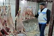 تضمین سلامت و حلیت گوشت های استحصالی در کشتارگاه های دام طرقبه شاندیز با نظارت های شرعی و بهداشتی