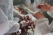 نمونه گیری از یک واحد مرغداری صنعتی در شهرستان خلیل آباد 