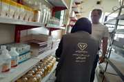 بازدید از مراکزمایه کوبی، درمانی و داروخانه های فعال دامپزشکی در شهرستان مشهد