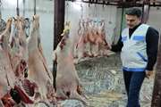 تعداد 3039 بازدید نظارتی از واحدهای تحت پوشش شهرستان طرقبه شاندیز از ابتدای سال 1401
