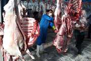 بازرسی بهداشتی بیش از 12هزار لاشه دامی در گناباد