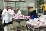 کشتار بهداشتی 1 میلیون و 700 هزار قطعه مرغ در گناباد