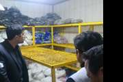 بازدید مستمر سردخانه های نگهداری فراورده های خام دامی در کاشمر توسط کارشناسان دامپزشکی