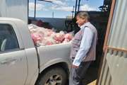 کشف و ضبط 870 کیلوگرم ران مرغ و گوشت بوقلمون تاریخ منقضی در سبزوار