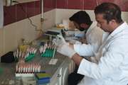 انجام آزمایش رزبنگال در آزمایشگاه شبکه دامپزشکی شهرستان رشتخوار 