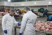 توصیه شبکه دامپزشکی شهرستان فریمان در خصوص گوشت مرغ