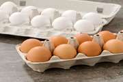 هشدار شبکه دامپزشکی شهرستان گناباد در خصوص نشانه گذاری تخم مرغ
