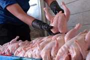 تولید بیش از 3 تن گوشت مرغ در کشتارگاه های تحت نظارت دامپزشکی فریمان