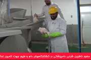 توضیحات نماینده ولی فقیه اداره کل دامپزشکی خراسان رضوی در مورد ناظرین شرعی