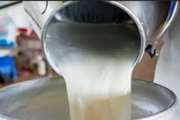 تاکید رئیس شبکه دامپزشکی طرقبه شاندیز بر ممنوعیت فروش شیر خام در مراکز عرضه فرآورده های خام دامی