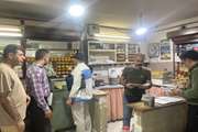 ۲۶ مورد بازدید از مراکز عرضه عسل در سطح شهرستان
