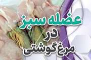 هشدار دامپزشکی سبزوار درباره عارضه عضله سبز در مرغ گوشتی