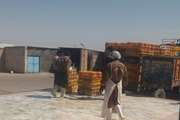 لزوم اخذ مجوز حمل بهداشتی قرنطینه ای دامپزشکی جهت حمل و نقل مرغ زنده در گناباد