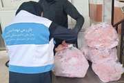 دامپزشکی، تامین کننده بخشی از بهداشت و سلامت جامعه، تضمین کننده غذای سالم 