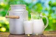  لزوم بازرسی دقیق لبنیات سنتی در فصل گرما / هشدار رئیس شبکه دامپزشکی سبزوار