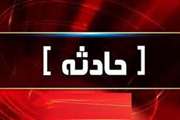 تزریق ناخواسته سرنگ واکسن به پای یکی از همکاران شبکه دامپزشکی قوچان