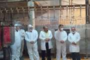 بازدید سرزده معاون فرماندار قوچان از کشتارگاه صنعتی طیور شهرستان