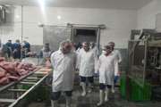 بازدید شبانه معاون سیاسی فرماندار فریمان از کشتارگاه صنعتی طیور شهرستان