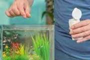 نگهداری ماهیان آکواریومی مستلزم رعایت مسایل بهداشتی است