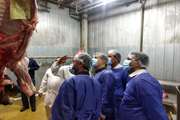 بازدید معاون بهداشتی و پیشگیری سازمن دامپزشکی کشور و هیئت همراه از موسسه صنعتی گوشت و کشتارگاه دام شهرستان مشهد