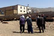 آموزش دامداران، رمز موفقیت واکسیناسیون در زاوه