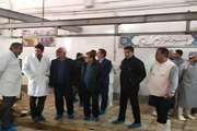 تأکید فرماندار کاشمر بر ساماندهی میدان دام و کشتارگاه دام در راستای تأمین امنیت غذایی جامعه