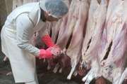 نظارت بهداشتی بر تولید بیش از ۹۰۰ تن گوشت قرمز کشتارگاه‌ دام