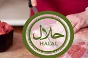غذا و تغذیه در قرآن کریم