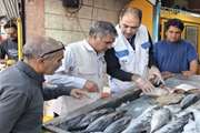 انجام بیش از 4 هزار و 600 بازدید بهداشتی / جلوگیری از عرضه ده ها تن فرآورده غیر بهداشتی