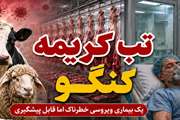 اینفوگرافیک هشدارهای بهداشتی دامپزشکی استان جهت جلوگیری از بیماری تب کریمه کنگو