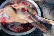 برخورد قانونی با فرد متخلف در حوزه کشتار غیرمجاز دام در بخش طرقبه 