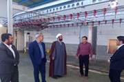 بازدید معاون توسعه مدیریت و منابع اداره کل دامپزشکی خراسان رضوی از کشتارگاه صنعتی دام شهرستان درگز 