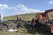 نمونه برداری و دفن بهداشتی اسب تلف شده مشکوک به بیماری هاری در روستای مایان علیا