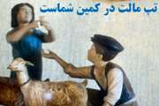 هشدار جدی شبکه دامپزشکی سبزوار درباره خطر شیوع تب مالت؛ مصرف شیر خام بدون جوشاندن ممنوع!  