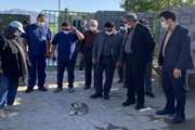 در بازدید پناهگاه مهربانی عنوان شد؛ تاکید فرماندار کاشمر بر ساماندهی اصولی سگهای بلاصاحب مبتنی بر روش های روز 