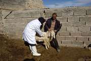 کلاس آموزشی و درمان رایگان به مناسبت دهه فجر در روستاهای محروم شهرستان جغتای