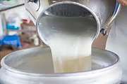 طرح پایش سلامت شیر خام در مراکز جمع آوری شیر شهرستان باخرز