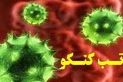 هشدار شبکه دامپزشکی مشهد در خصوص رخداد بیماری تب خونریزی دهنده کریمه کنگو 