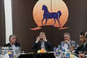 رئیس فدراسیون سوارکاری: نیاز به استراتژی جامع در پرورش اسب احساس می‌شود