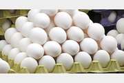 توصیه به شهروندان قوچانی: تخم مرغ های دارای تاریخ و بسته بندی مناسب را مصرف کنید